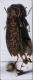 IMG_4140verkleint1.jpg