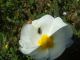DSCF8020.JPG