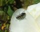 DSCF8019.JPG