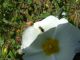 DSCF8021.JPG