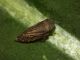 DSCF3943.JPG