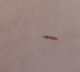 20140119_123949.jpg