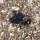 IMG-20140208-WA0002.jpg