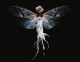 23_insectpapillon.jpg