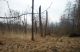 DSCN6170.JPG
