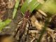 DSCF5071.JPG