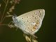 DSCF5153.JPG