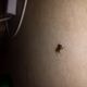 20140130_232942.jpg