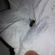 20140214_234135.jpg