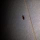 20140223_204926.jpg
