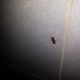 20140223_204932.jpg