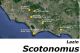 Scotonomus Lazio.jpg