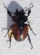 DSCF5430.JPG