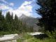 Lepturobosca virens_Tatry_07.2011 136.jpg