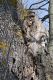 IMG_7823-quercia.jpg