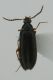 DSCN5975 - Copia.JPG