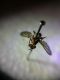 20140323_131033.jpg