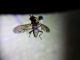 20140323_131103.jpg