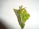 DSC04997.JPG