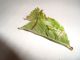 DSC04998.JPG