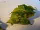 DSC05007.JPG
