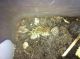 IMG-20140409-WA0001.jpg