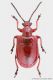 2014-04-10-14.13.42-ZS-PMax-come-oggetto-avanzato-1.jpg