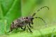 DSC_2345 lr_mini.jpg