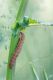DSC05872-small.jpg