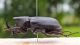 DSCF5513.JPG