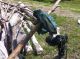 IMG_3465-3480_make.jpg