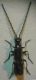 Malthodes 001 A.jpg