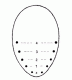 A.opisthographa.gif