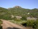 DSCN7087.JPG