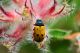 DSC_3597 copialr.jpg