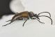 31-05-2014_002-31-05-2014_019.jpg