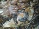 20140531_164033.jpg