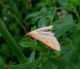 DSCN0547.JPG