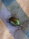 IMG-20140608-WA0001.jpg