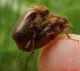 DSCF6238.JPG