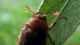 DSCF6206.JPG