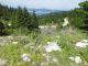 tn_DSCN1679.JPG