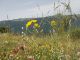 Campo_Felice_4-VII-2014_L26_006.JPG