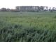 DSC04277.JPG