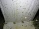 DSC04213.JPG