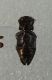 DSCN1067.JPG