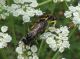 DSCN1145.JPG
