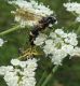 DSCN1147.JPG