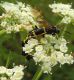 DSCN1149.JPG