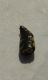IMG-20140711-WA0004.jpg
